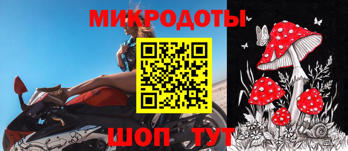 Советская Гавань  Псилоцибиновые грибы мухоморы  Вход с VPN  Псилоцибиновые грибы Magic Shrooms 