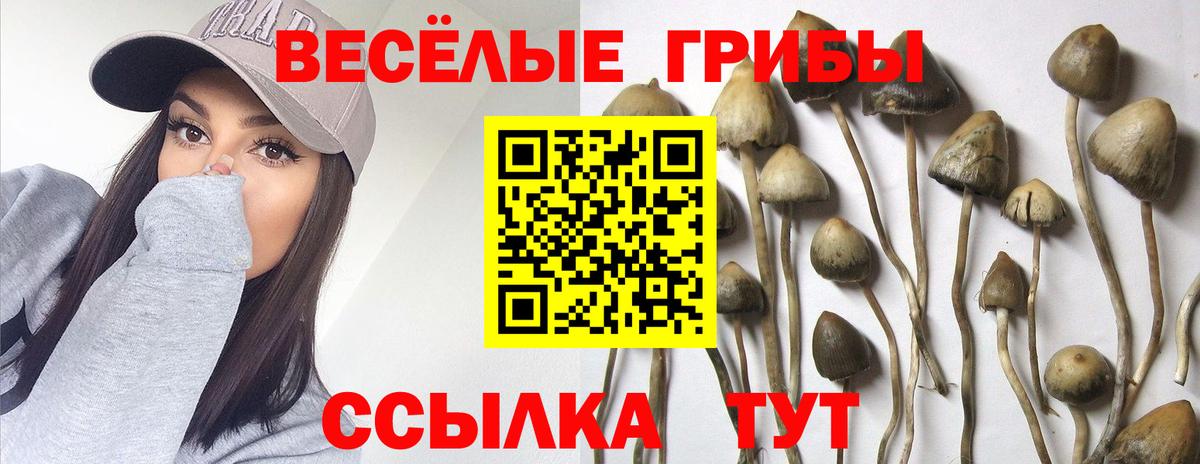 Псилоцибиновые грибы прущие грибы Советская Гавань